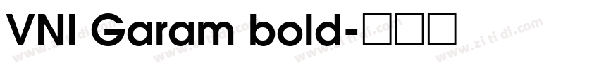 VNI Garam bold字体转换